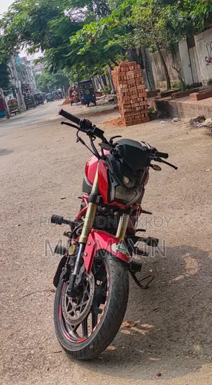 Runner Bolt 165R 2022 Red