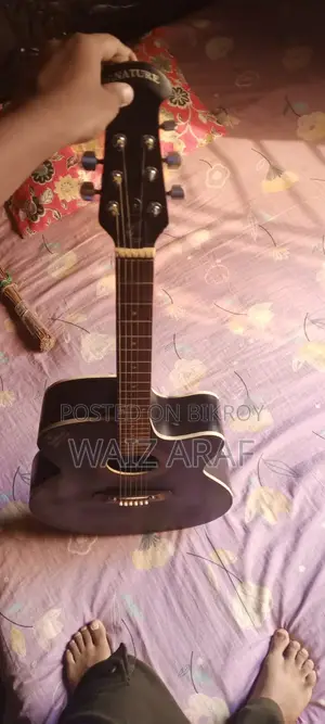 অরিজিনাল সিগনেচার গিটার
