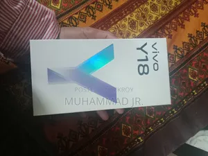 Vivo Y17 128 GB Orange