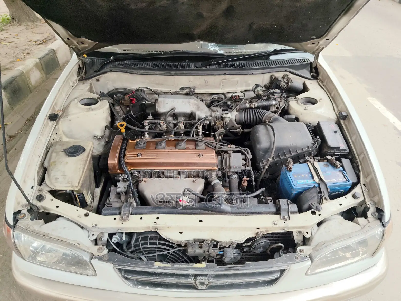 Toyota Corolla Sedan 1995 Pearl