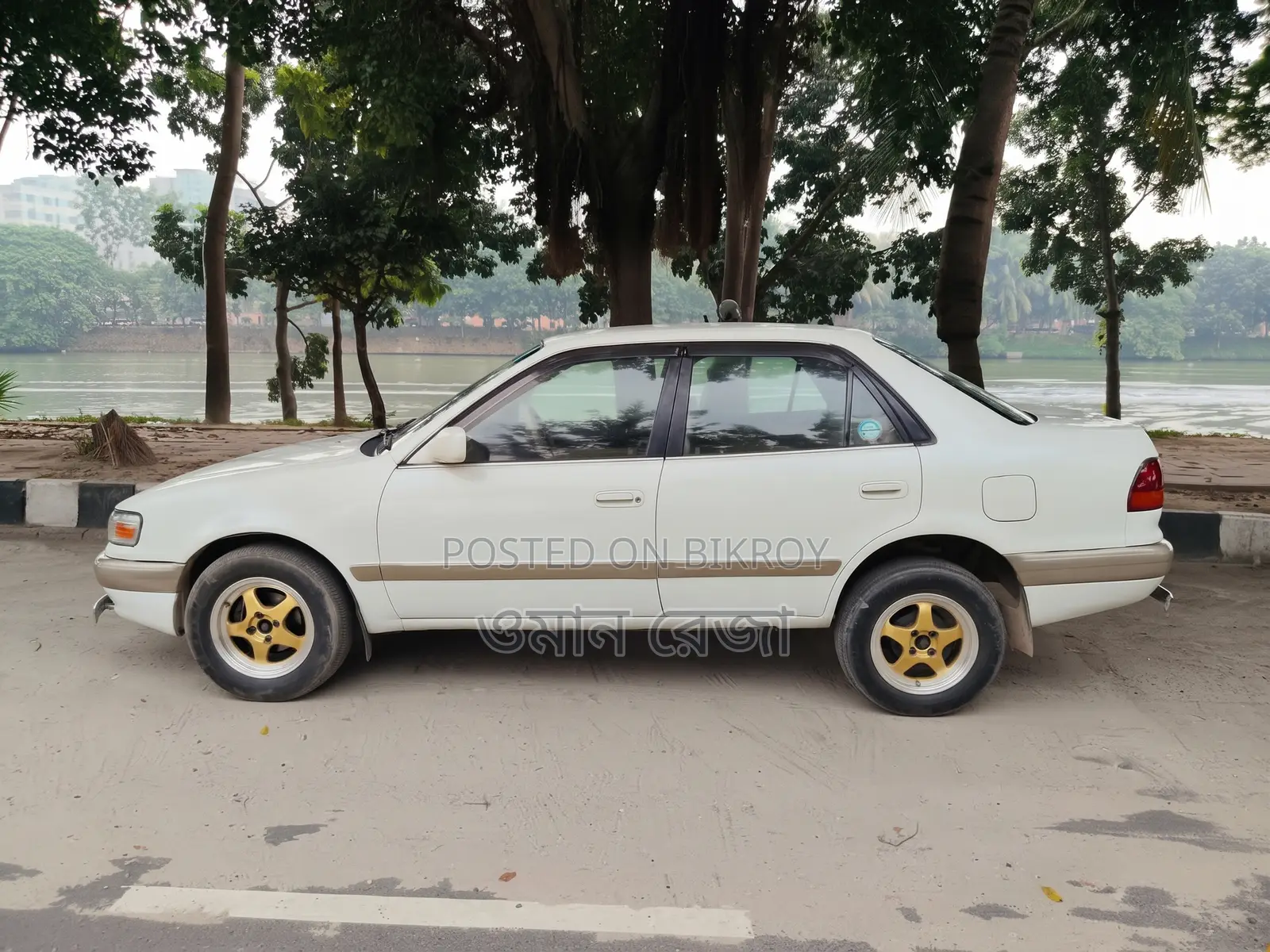 Toyota Corolla Sedan 1995 Pearl