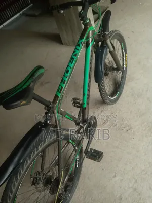 Aluminum Body Geared Bicycle