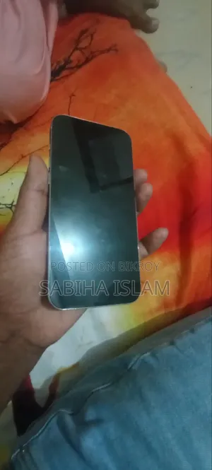 অ্যাপল আইফোন ১৫ প্রো ম্যাক্স ২৫৬ জিবি সিলভার