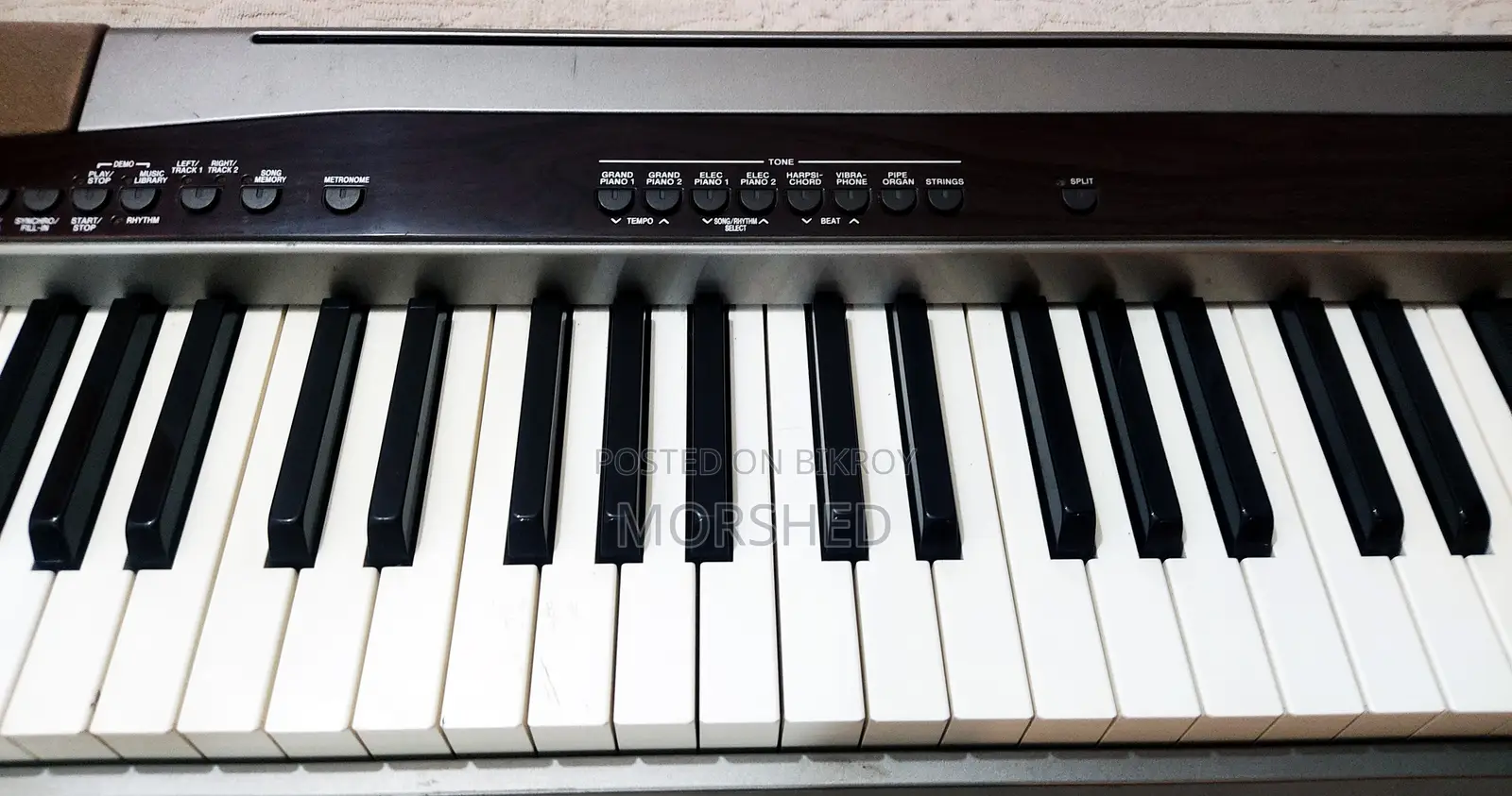 CASIO Privia PX-100 — 88-Key Hammer-Action Digital Piano