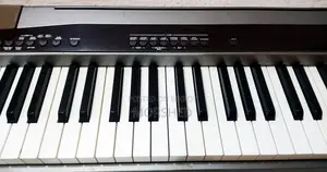 CASIO Privia PX-100 — 88-Key Hammer-Action Digital Piano