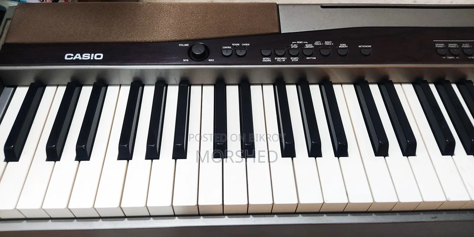 CASIO Privia PX-100 — 88-Key Hammer-Action Digital Piano