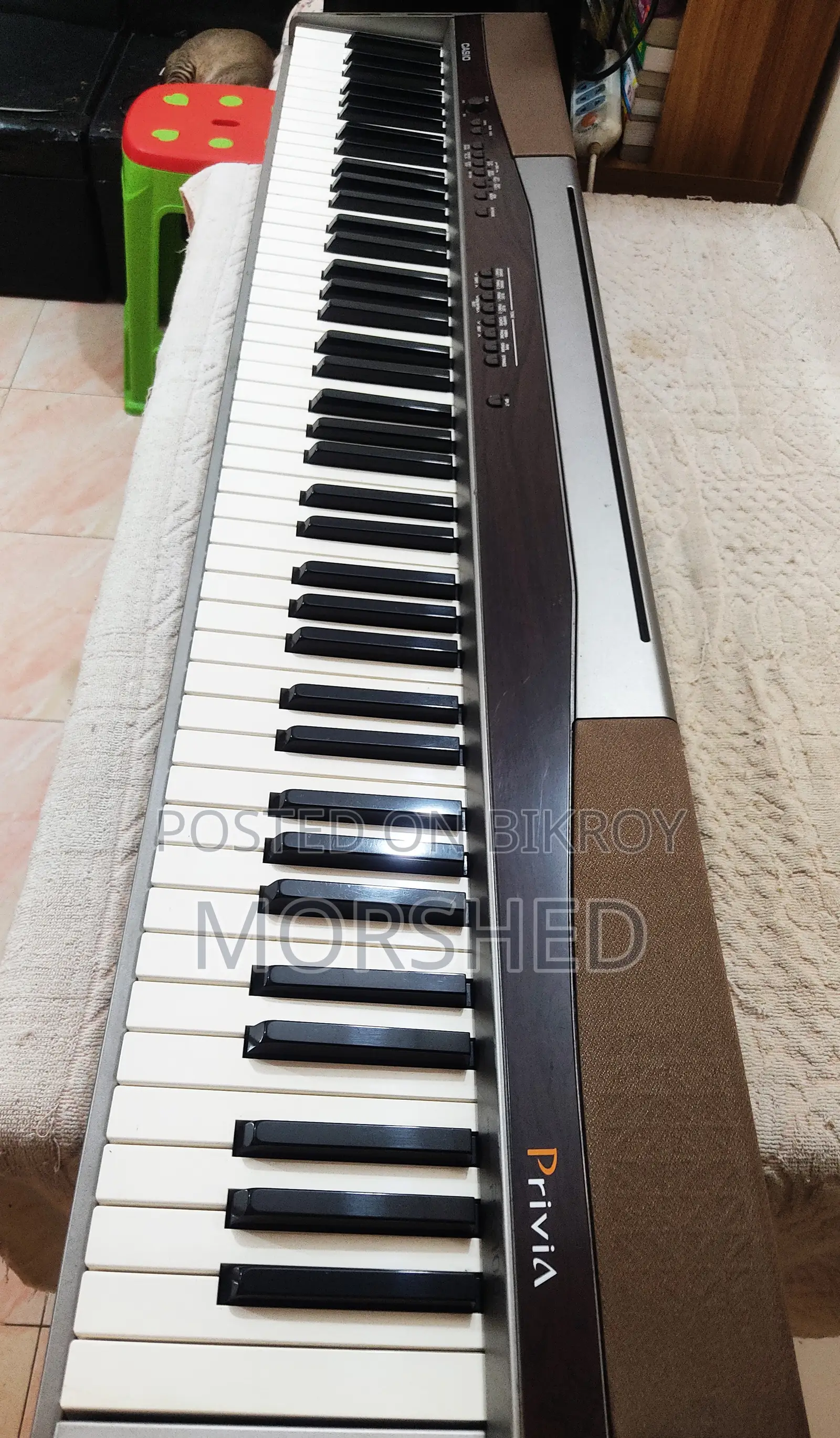 CASIO Privia PX-100 — 88-Key Hammer-Action Digital Piano