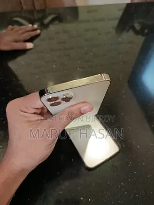 অ্যাপল আইফোন ১২ প্রো ১২৮ জিবি গোল্ড