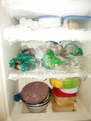 এই ফ্রিজটি বিক্রি করা হবে