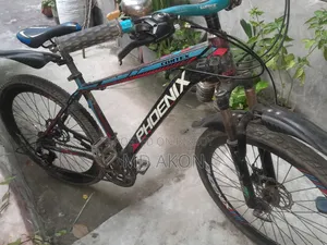 Phoenix Aluminum Body