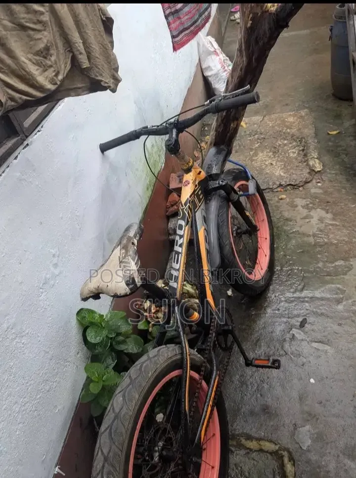 Hero 20 Cycle