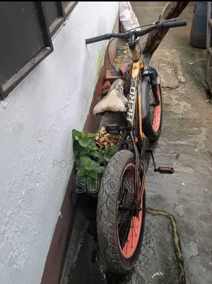 Hero 20 Cycle