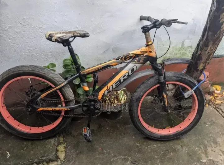 Hero 20 Cycle