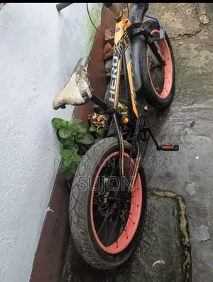 Hero 20 Cycle