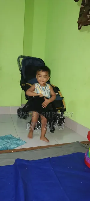 সি-৩ মডেল বেবি ট্রলি