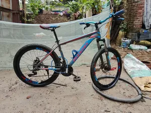 Bicycle for sale