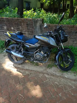 Bajaj Pulsar 150 2020 Gray