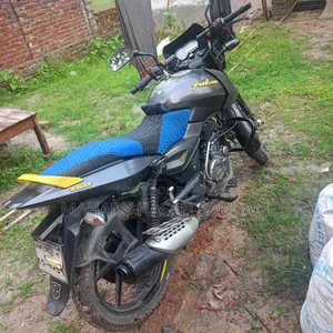 Bajaj Pulsar 150 2020 Gray