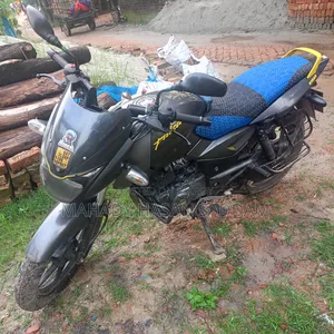 Bajaj Pulsar 150 2020 Gray