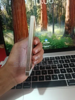 অ্যাপল আইফোন ৫এস ১৬ জিবি রোজ গোল্ড