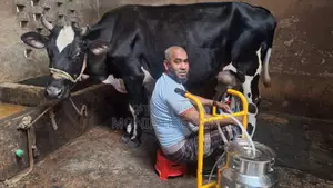 কাউ মিল্কিং মেশিন