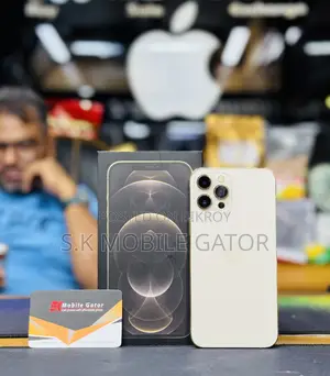 অ্যাপল আইফোন ১২ প্রো ম্যাক্স ১২৮ জিবি গোল্ড