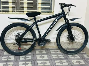 Phoenix Cycle