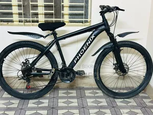 Phoenix Cycle