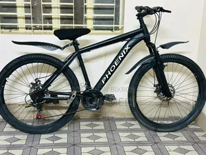 Phoenix Cycle