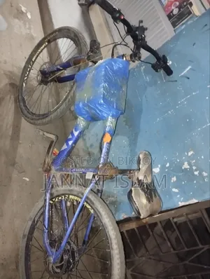 Electric Cycle