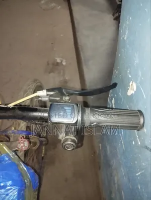 Electric Cycle