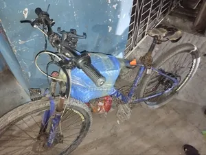 Electric Cycle