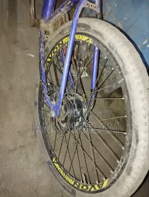 Electric Cycle