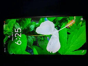 ভিভো ওয়াই১৭এস ১২৮ জিবি
