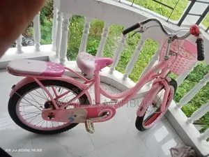 Phonix Bicycle for Girls/Ladies