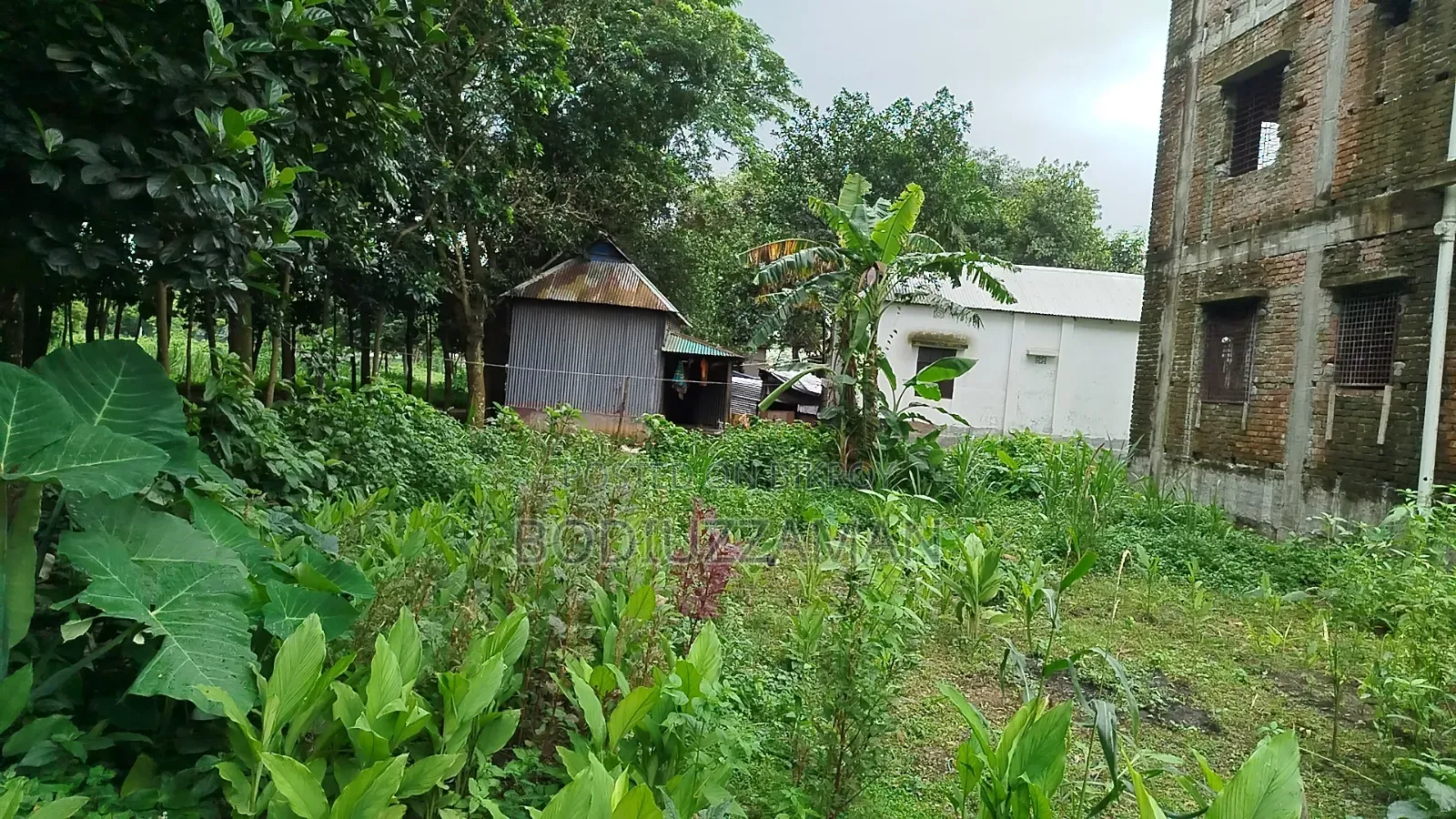 জমি বিক্রি হবে