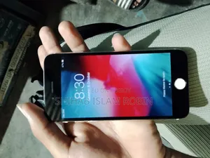 অ্যাপল আইফোন ৬ ১৬ জিবি গোল্ড