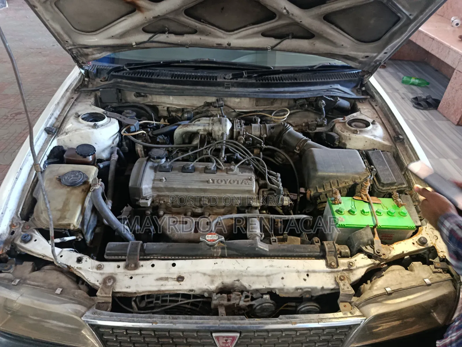 Toyota Corolla Hatchback 2001 White