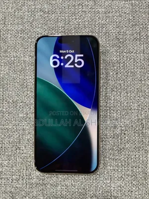 Apple iPhone 16 Pro Max 256 GB Gray