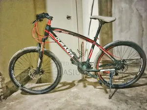 Cycle - Duranta 26