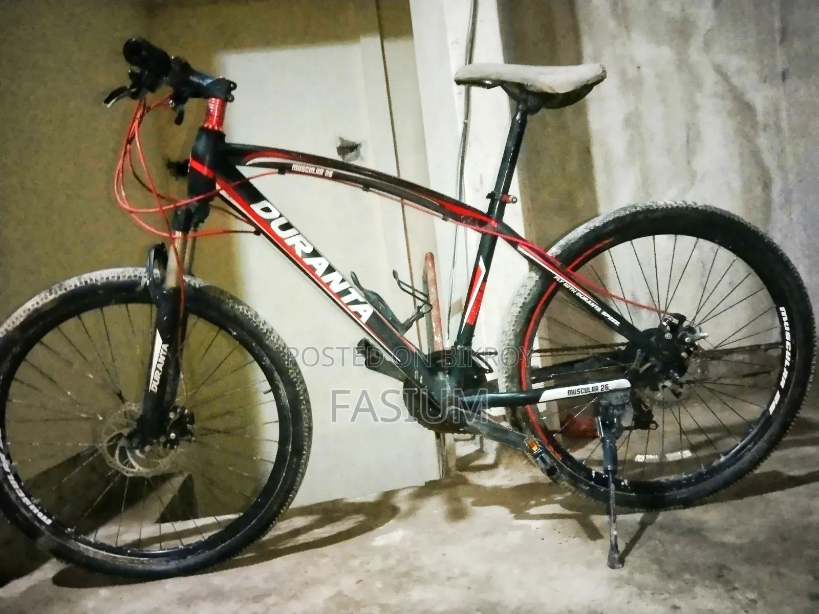 Cycle - Duranta 26