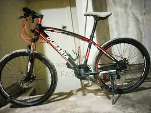 Cycle - Duranta 26