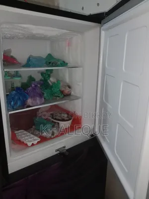 Singer Fridge S-500