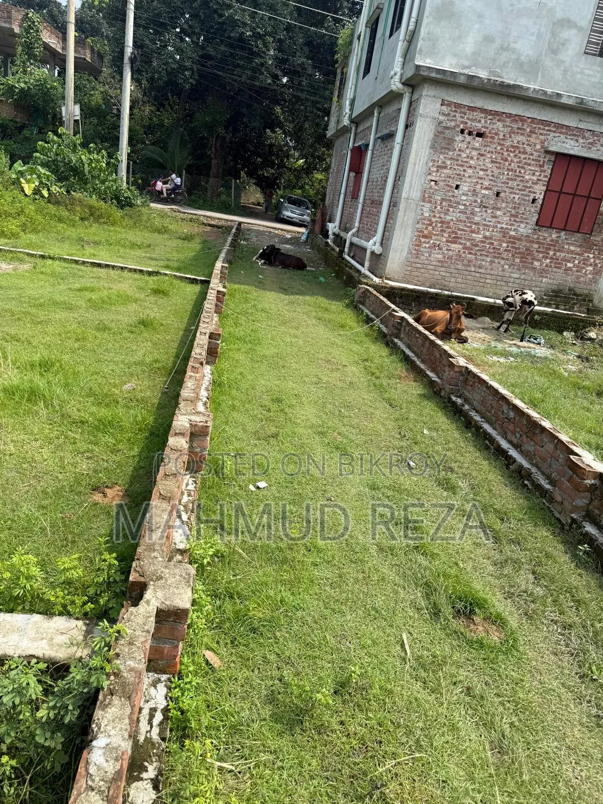 Land for sale urgently at an affordable price near Palbari, Jashore