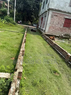 Land for sale urgently at an affordable price near Palbari, Jashore