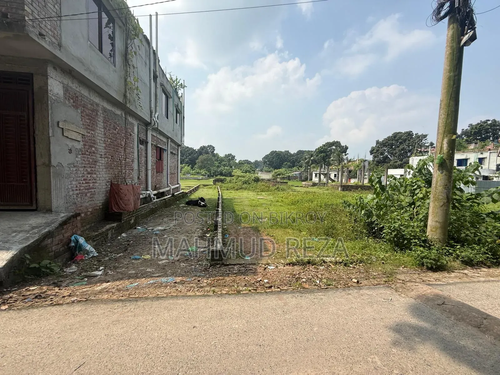 Land for sale urgently at an affordable price near Palbari, Jashore