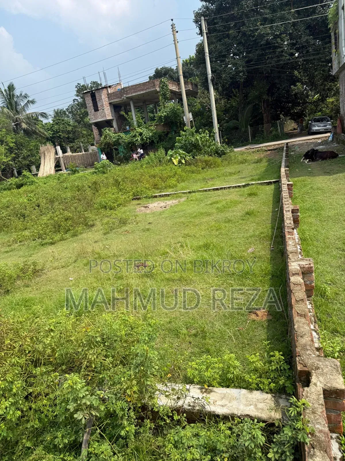 Land for sale urgently at an affordable price near Palbari, Jashore