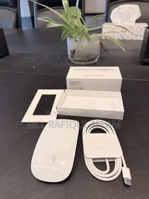 Apple Magic Mouse 2 (USB-C)