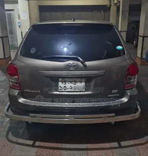 Toyota Corolla Fielder 2010 Gray