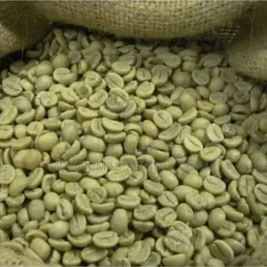 Photo - "Boost Wellness With Green Coffee Beans!"
